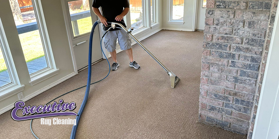 Professional Carpet Cleaning Services