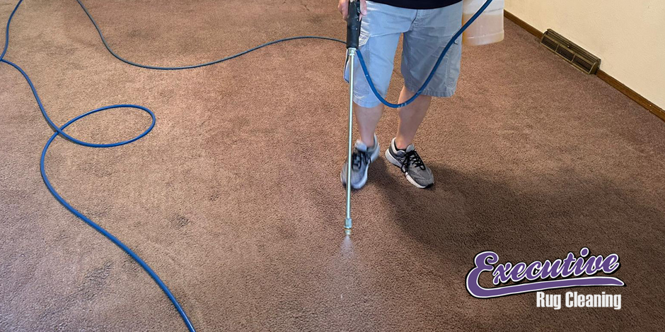 Professional Carpet Cleaning Services