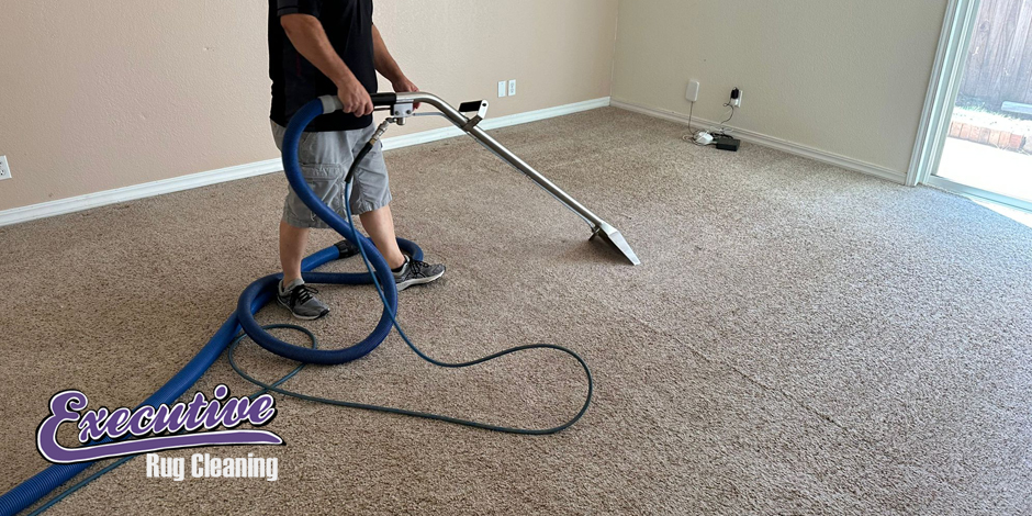 Professional Carpet Cleaning Services