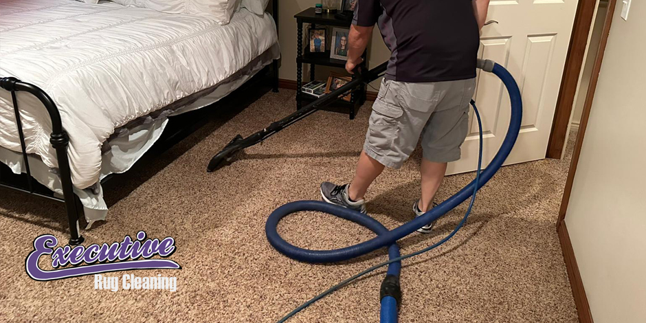 Professional Carpet Cleaning Services