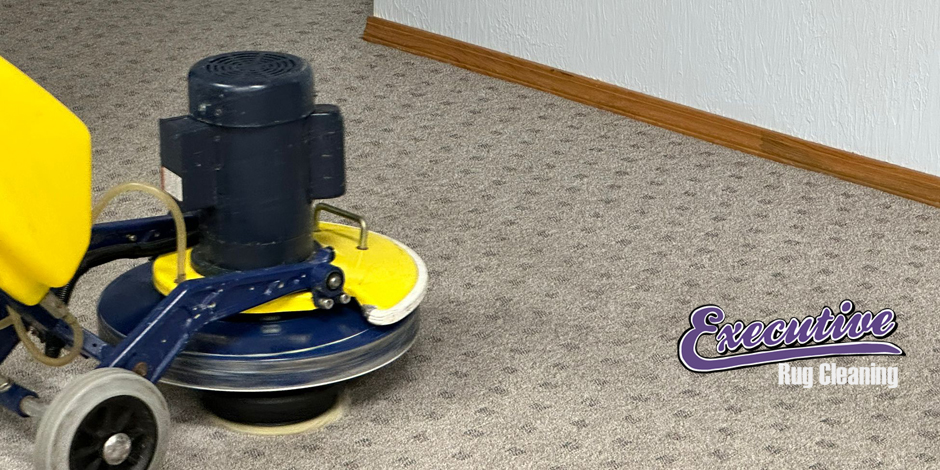 Professional Carpet Cleaning Services