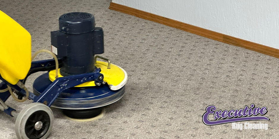 Professional Carpet Cleaning Services